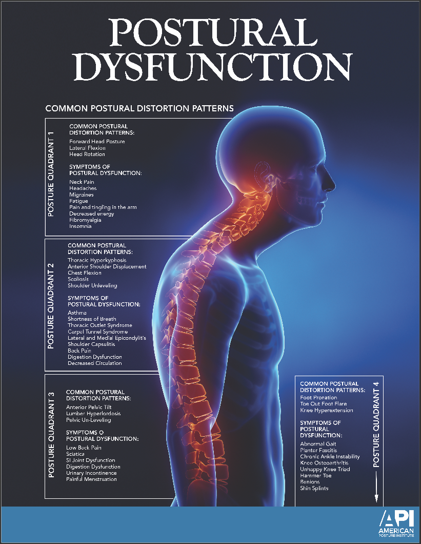 Postural Dysfunction Postural Dysfunction