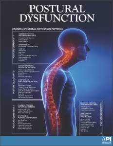 Douleurs et Chiropraxie. Quelles pathologies soigne un chiropracteur?